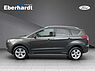 Ford Kuga Family