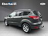 Ford Kuga Family