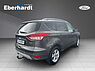 Ford Kuga Family