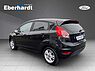 Ford Fiesta Champion