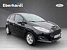 Ford Fiesta Champion