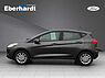 Ford Fiesta Family