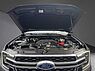 Ford Ranger Platinum e-4WD Doppelkabine