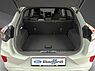 Ford Puma ST-Line
