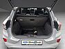 Ford Puma ST-Line X