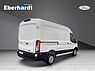 Ford Transit Trend L2 Klimaanlage Ganzjahresreifen